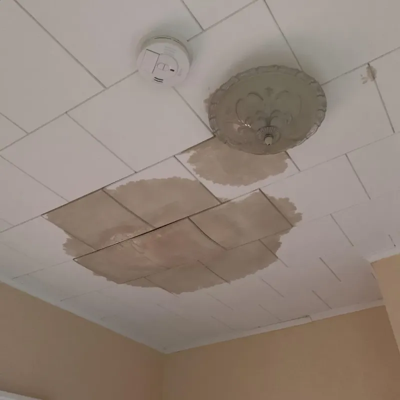 Ceiling Water Damage Repair in Logan Elm Village, OH