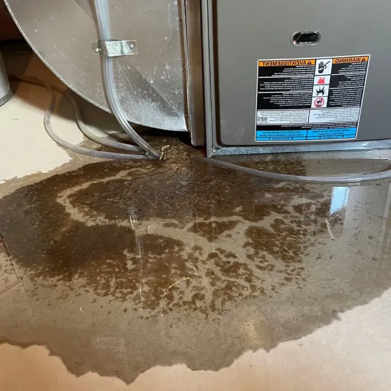 Pipe Burst and Leak Restoration in Logan Elm Village, OH