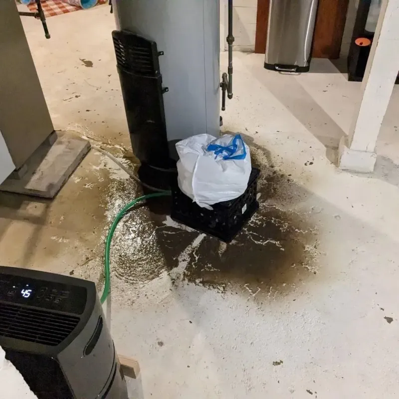 Sewage Backup Cleanup Service in Logan Elm Village, OH